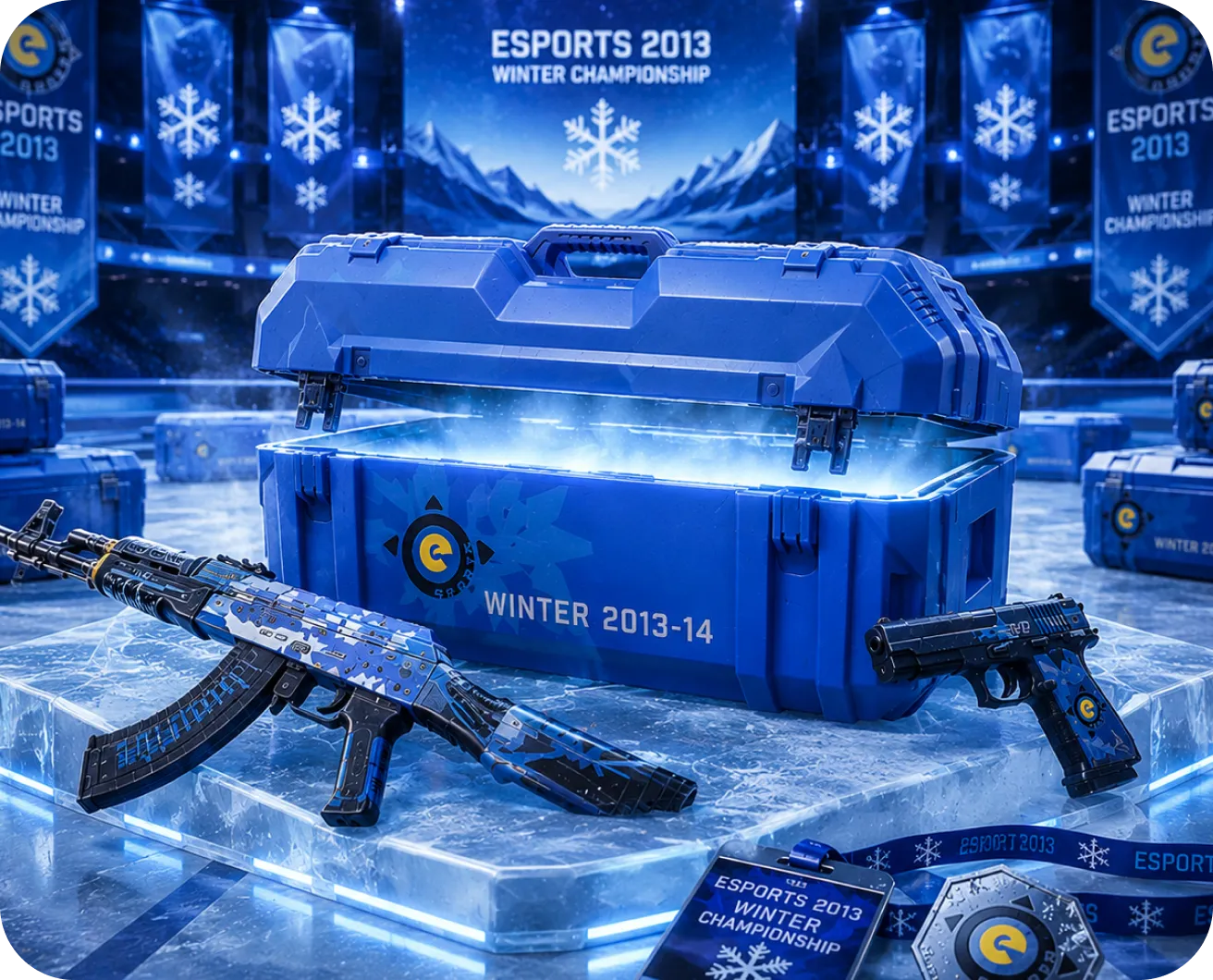 ESPORTS 2013 WINTER CASE