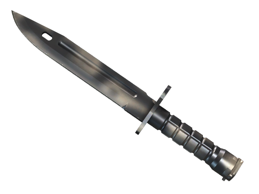 ★ StatTrak™ Bayonet | Rust Coat (Well-Worn)