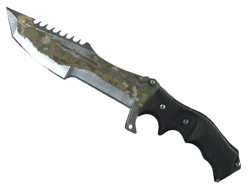 Forest DDPAT